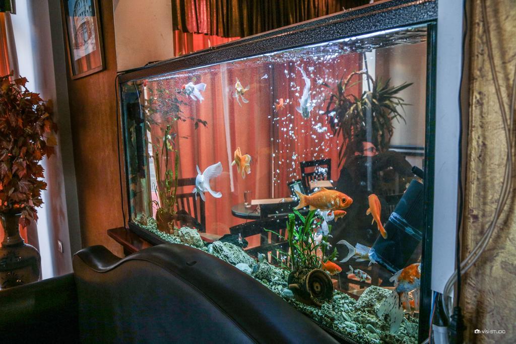 Hotel Regency Korce Ngoại thất bức ảnh